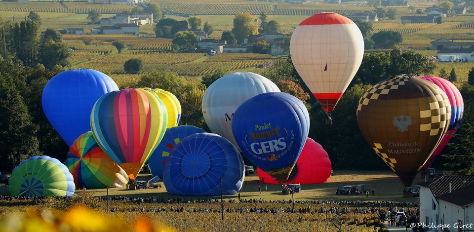 247274250 262023942598501 3595127752479412725 n