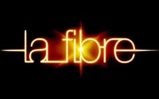 fibre orange 1